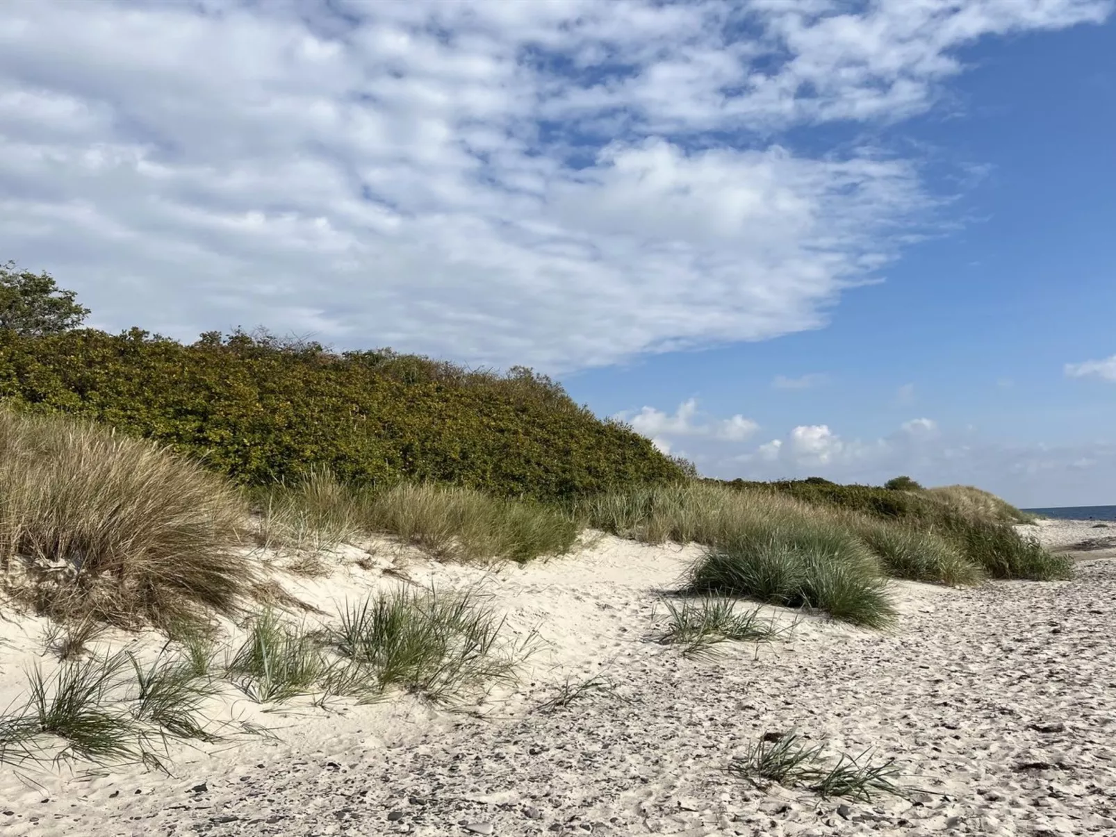 "Aulikki" - 2km from the sea-Buiten