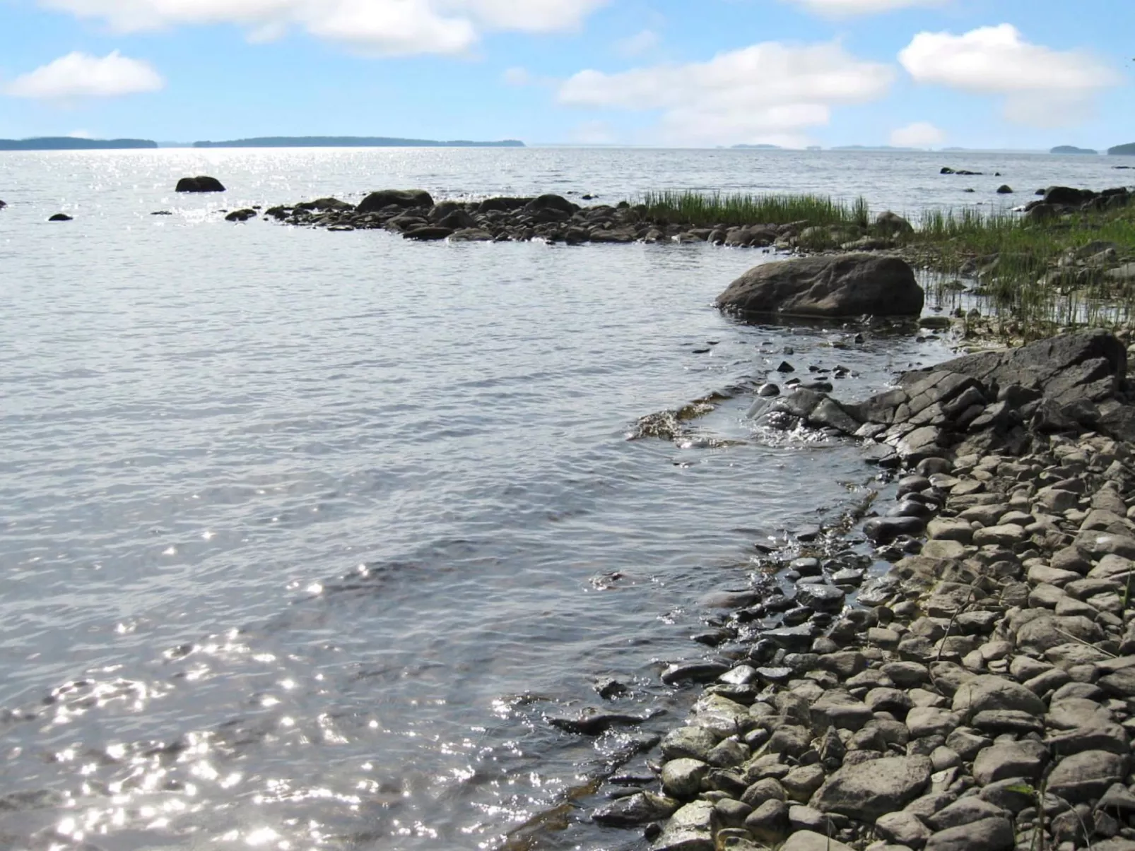 Amero purnu 2-Binnen