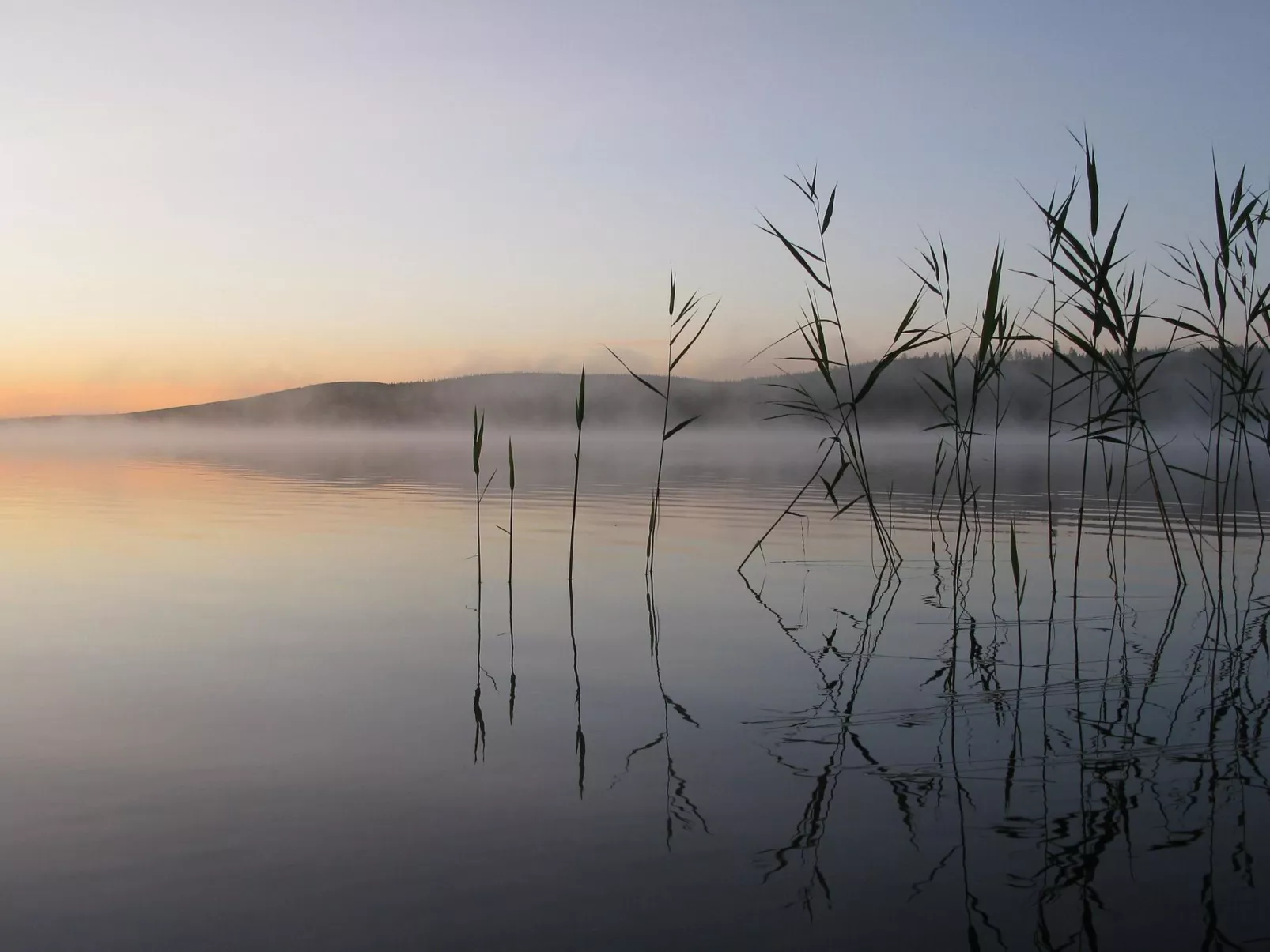 Teppolan rinne-Binnen