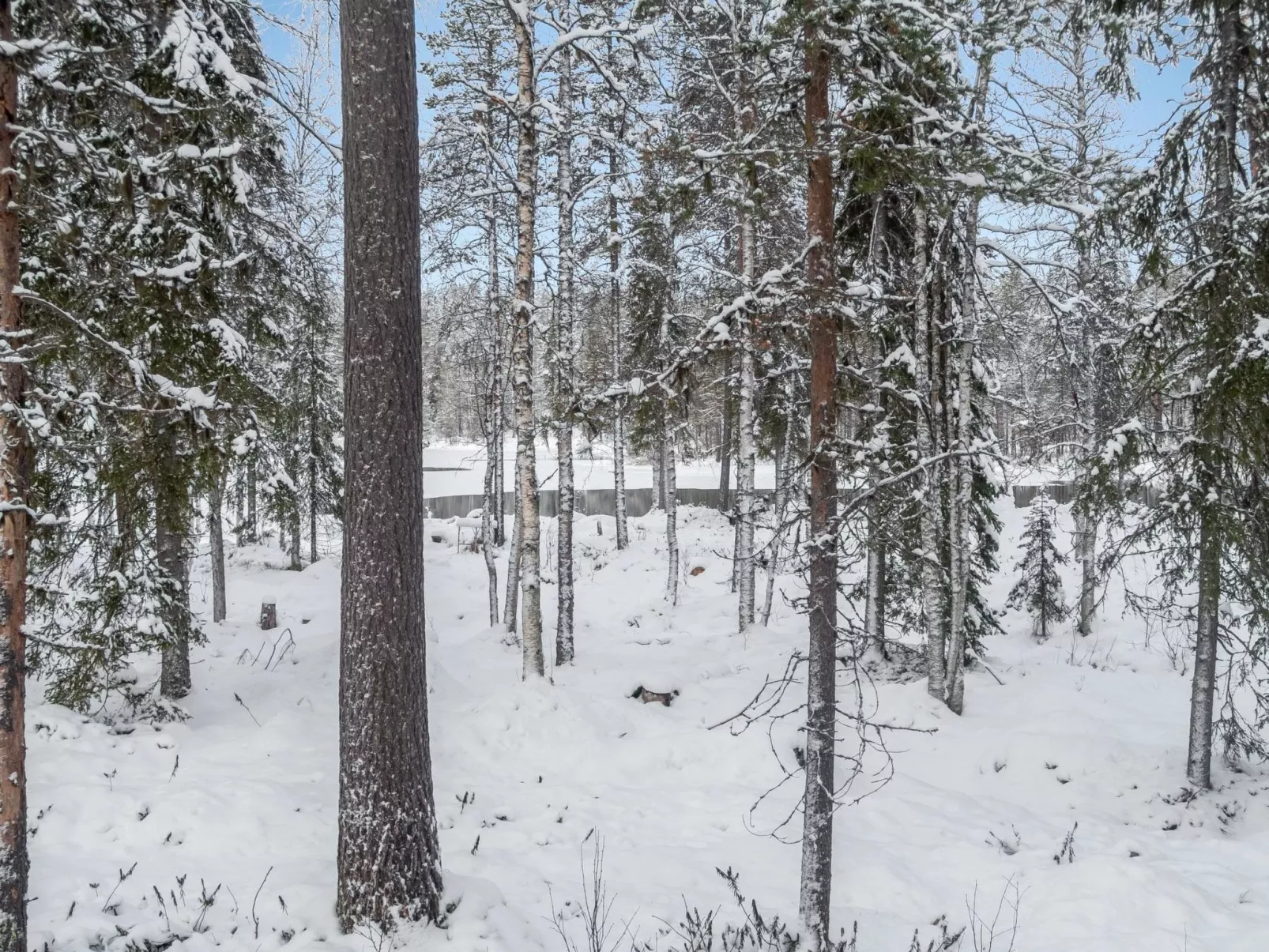 Kiehtäjän virta-Binnen