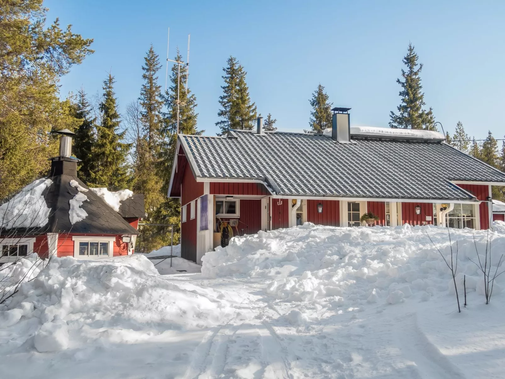 Peukaloinen b1-Binnen