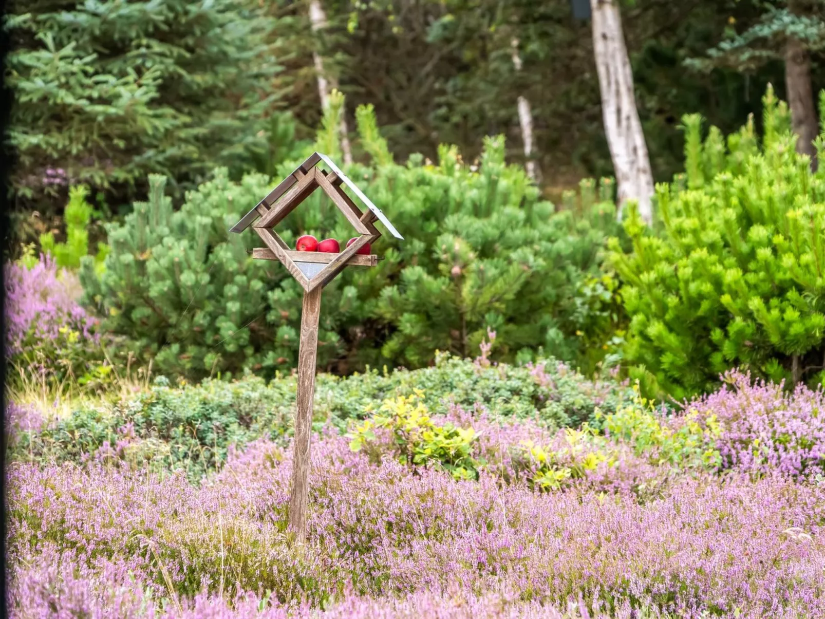 "Eeske" - 2.5km from the sea-Buiten