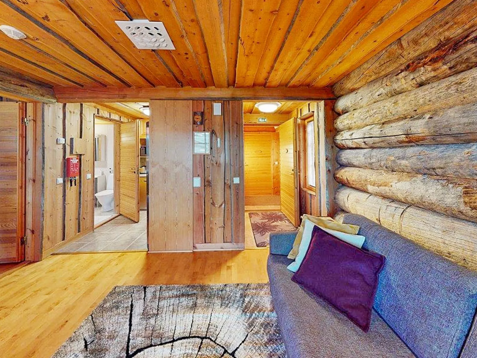 Sokosti - puilakka 4-Binnen