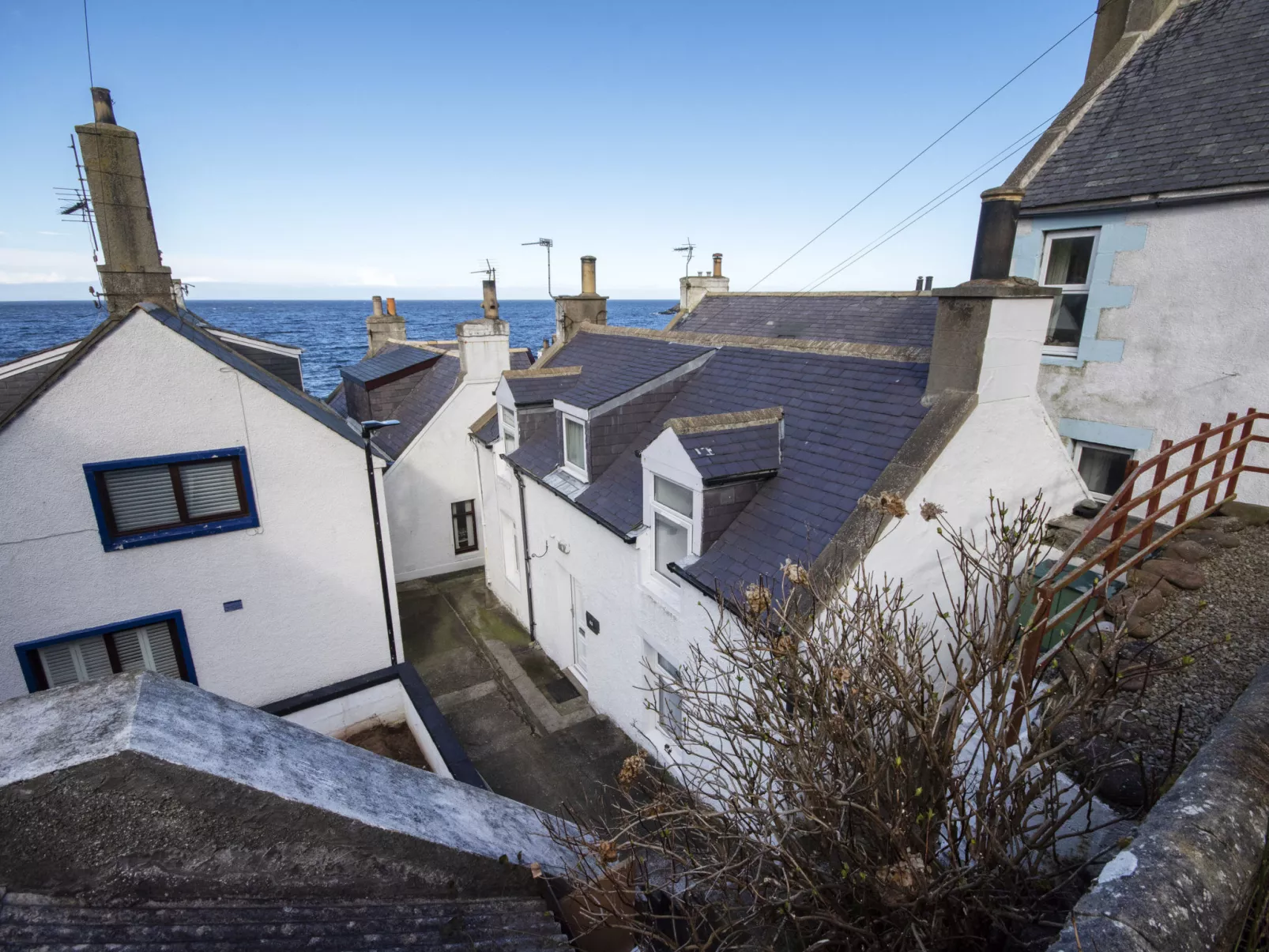 Ellie-Jo Cottage-Buiten