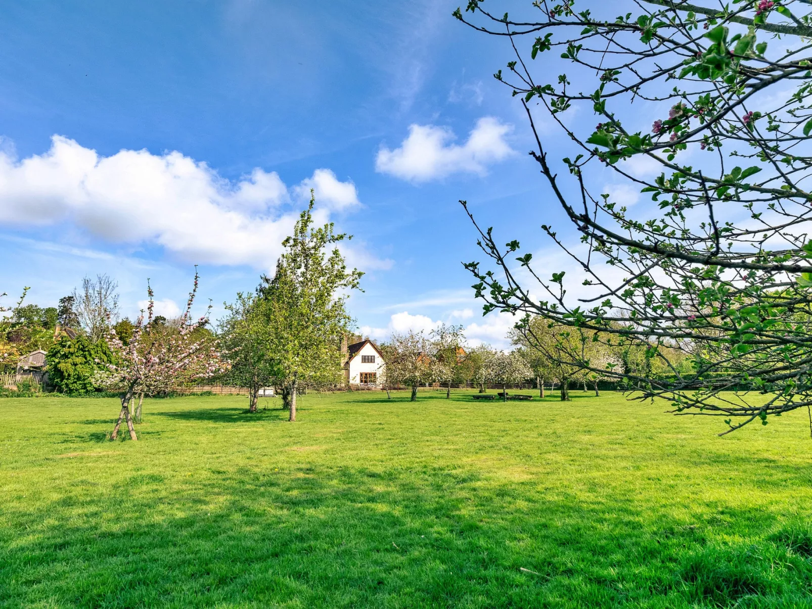 Windfall Cottage-Buiten