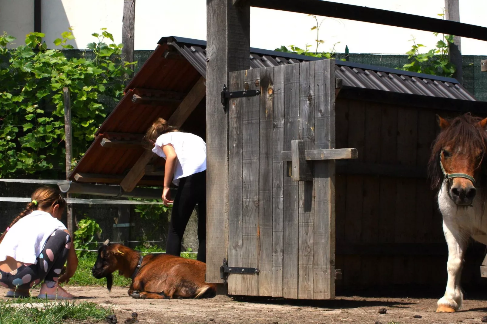 Zevnik Quiet Retreat with Stunning Views and Equestrian Activities - Family Room with Private Bathroom 8-Buitenlucht