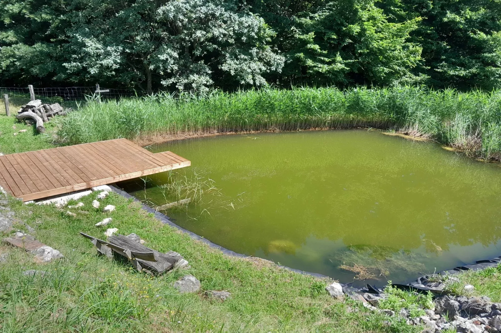 Hidden Authentic Haven Apartments - One Bedroom Apartment with Terrace-Buitenlucht