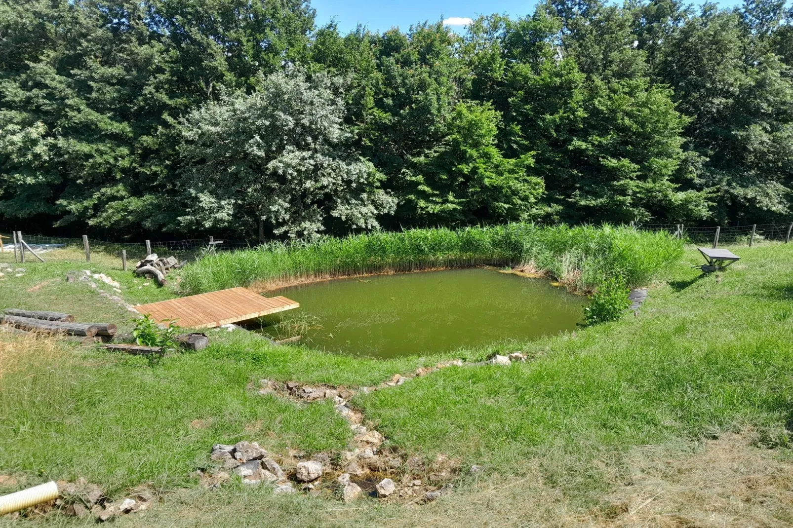 Hidden Authentic Haven Apartments - Two Bedroom Apartment with Balcony-Buitenlucht