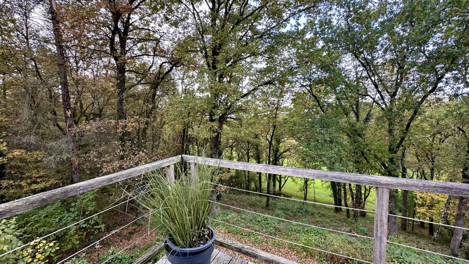 The Green-Uitzicht zomer