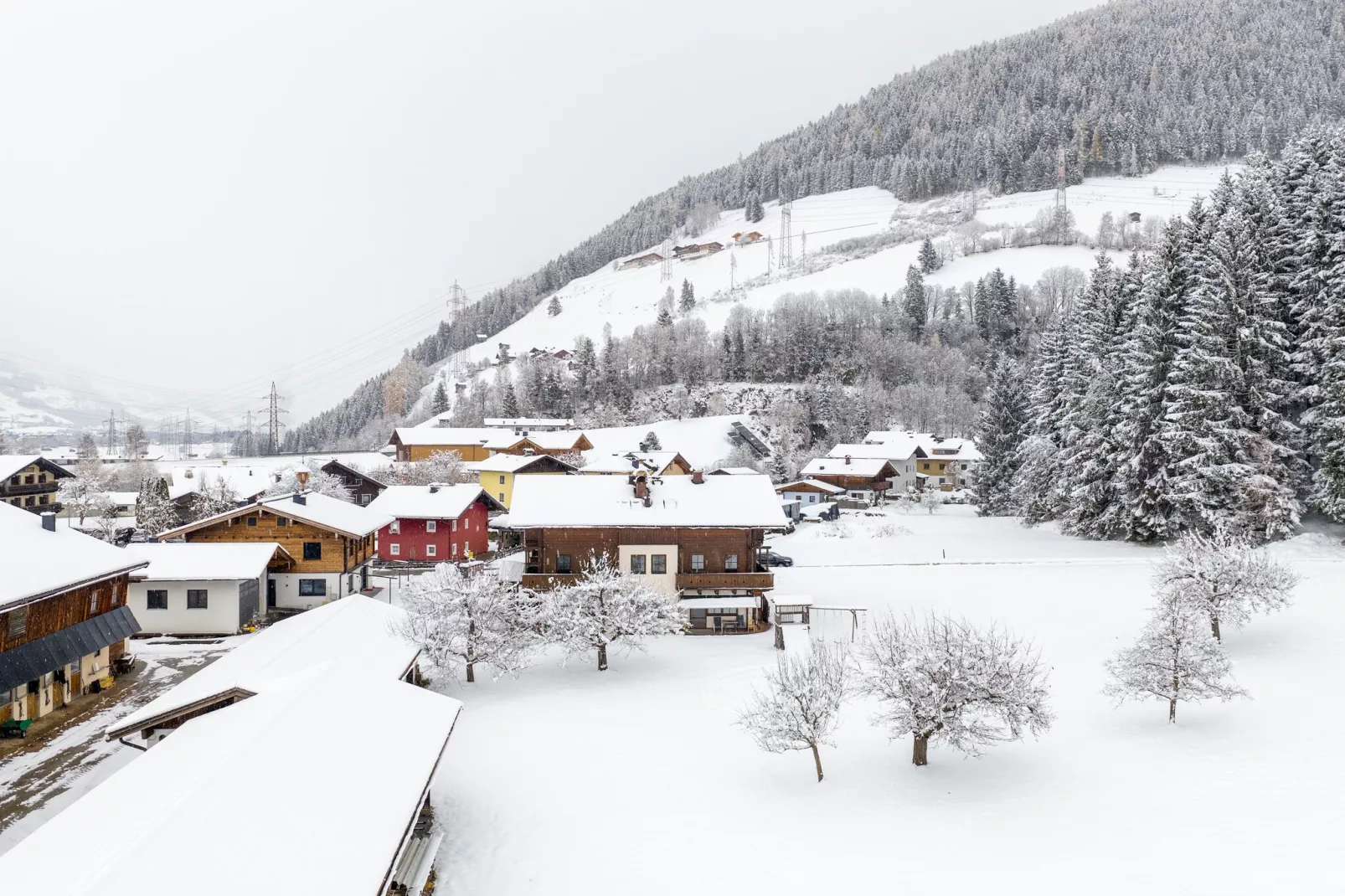 Apartment "Sonnberg"-Gebied winter 5km