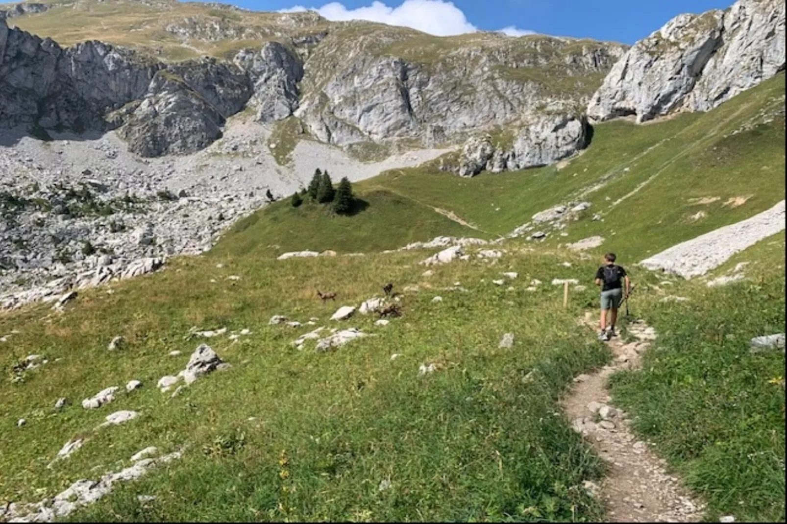 Les Sorbiers-Gebieden zomer 5km