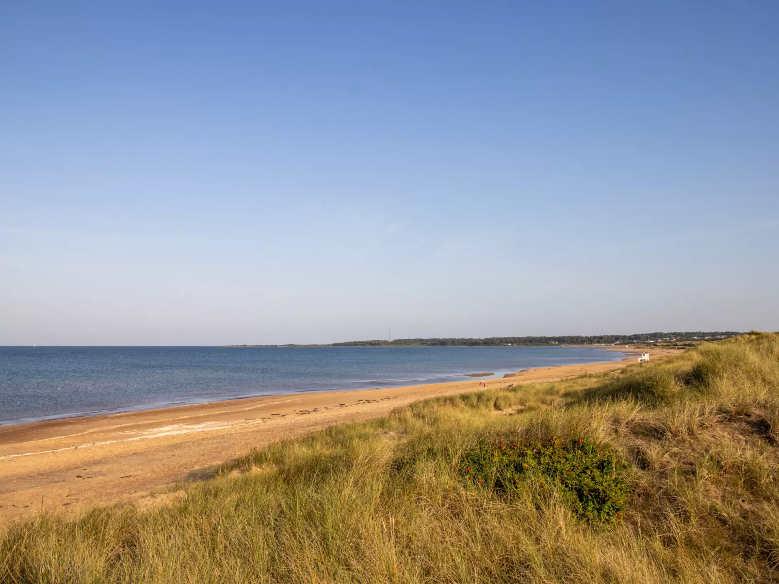 Frösakull Paradiset-Buiten