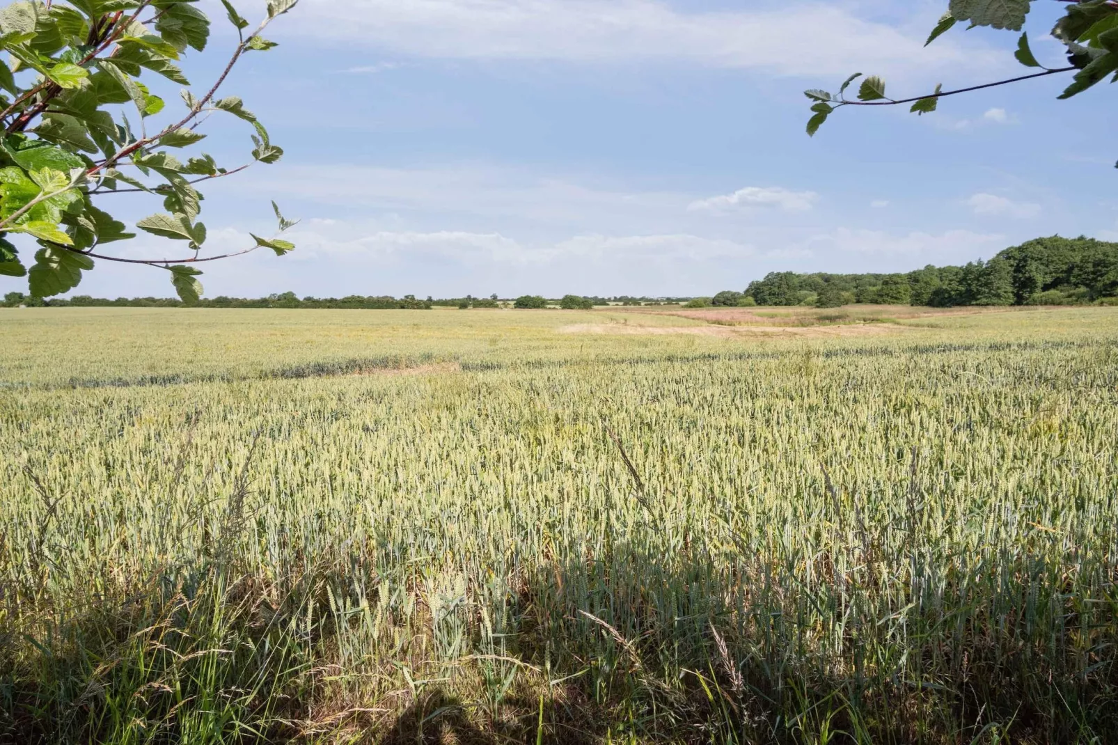 5 sterren vakantie huis in Haderslev