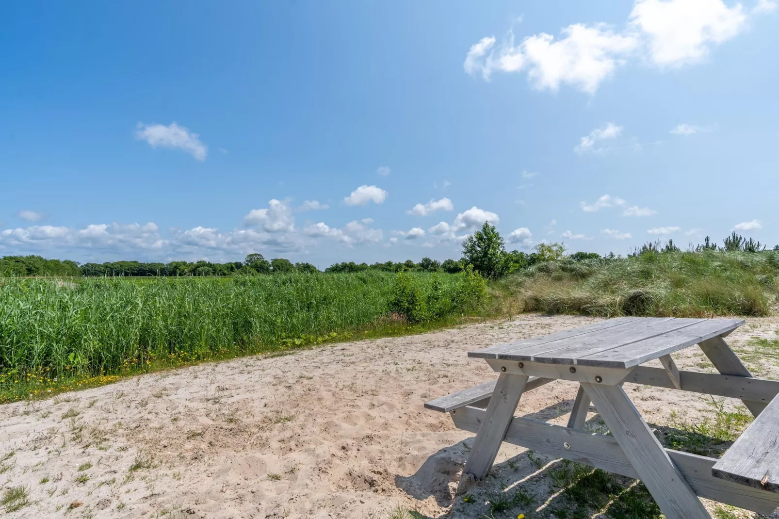 Strandvilla Hygge-Tuinen zomer