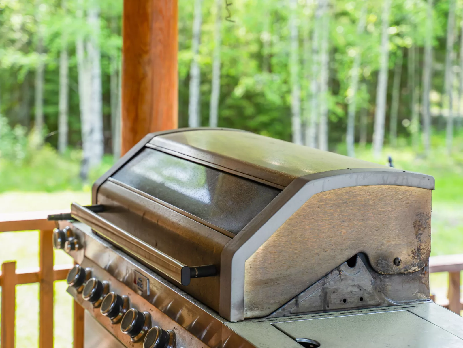 Villa joutsen-Binnen