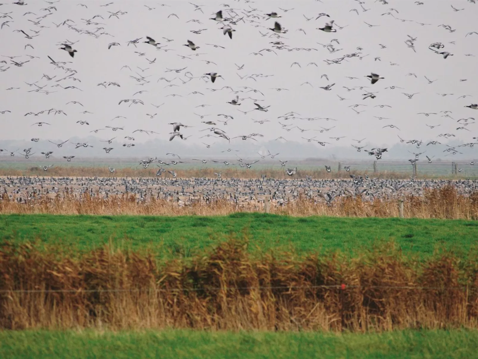 "Freek" - 400m from the sea-Buiten