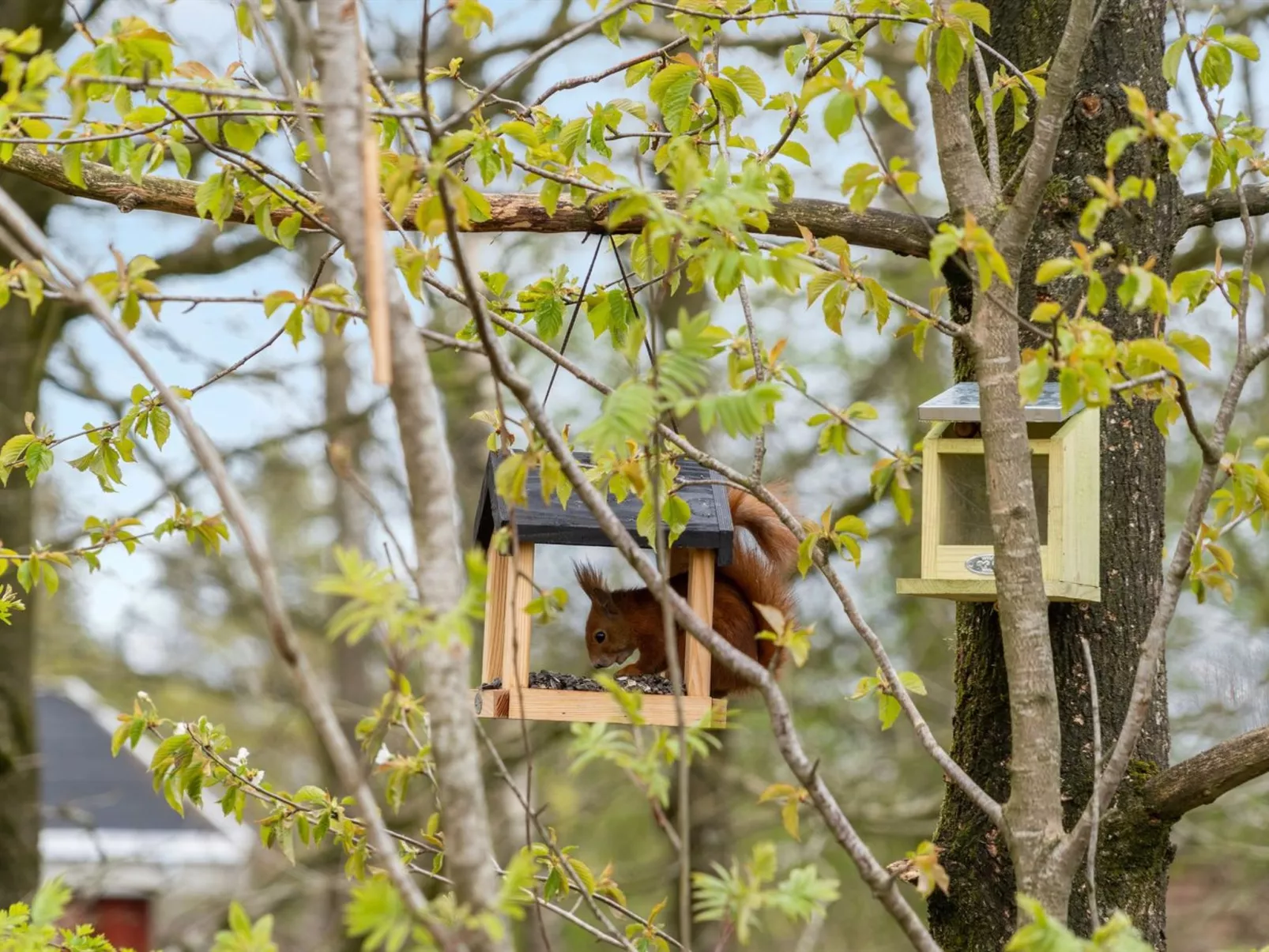 "Kea" - 30km from the sea-Binnen