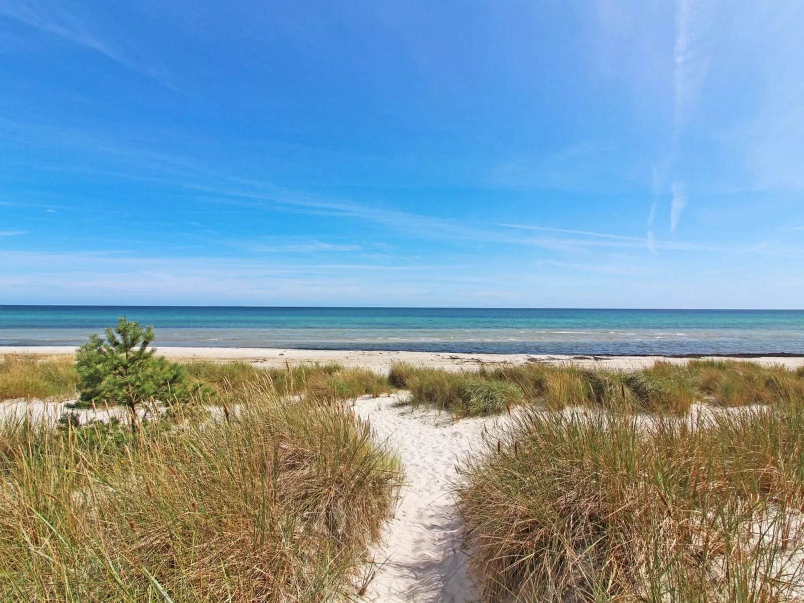 "Læff" - 50m from the sea-Buiten