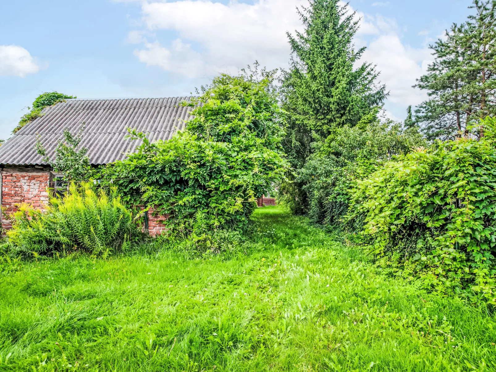 U Prababci Olgi-Buiten