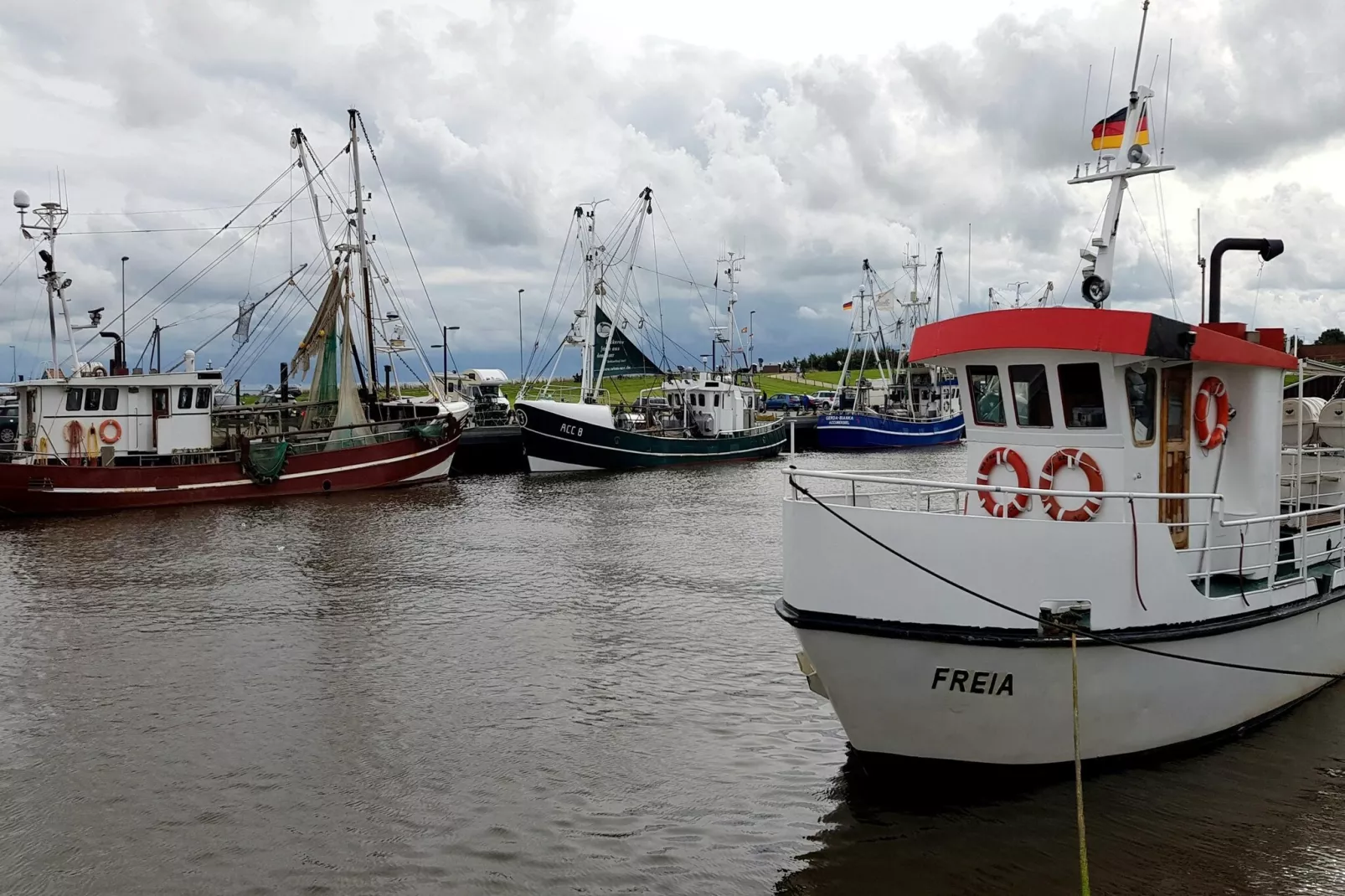 Ferienhaus Seeschwalbe-Gebieden zomer 5km