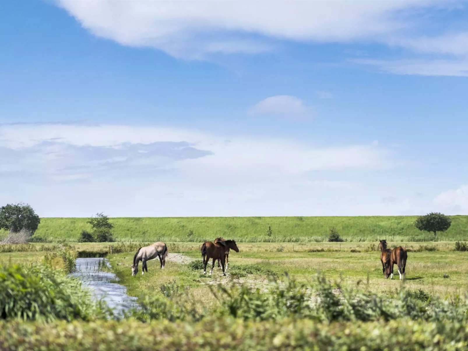 "Janin" - 400m from the sea-Buiten
