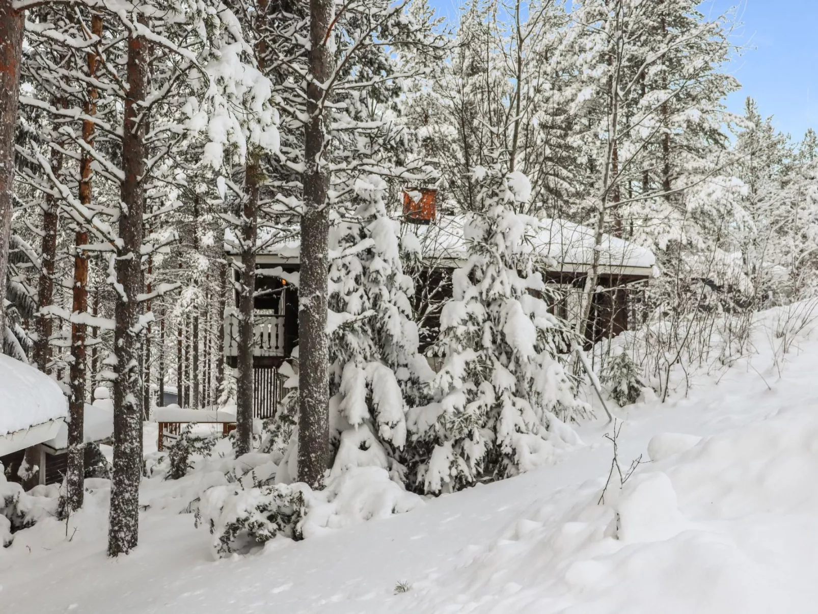 Hyrynpirtti mökki-Binnen