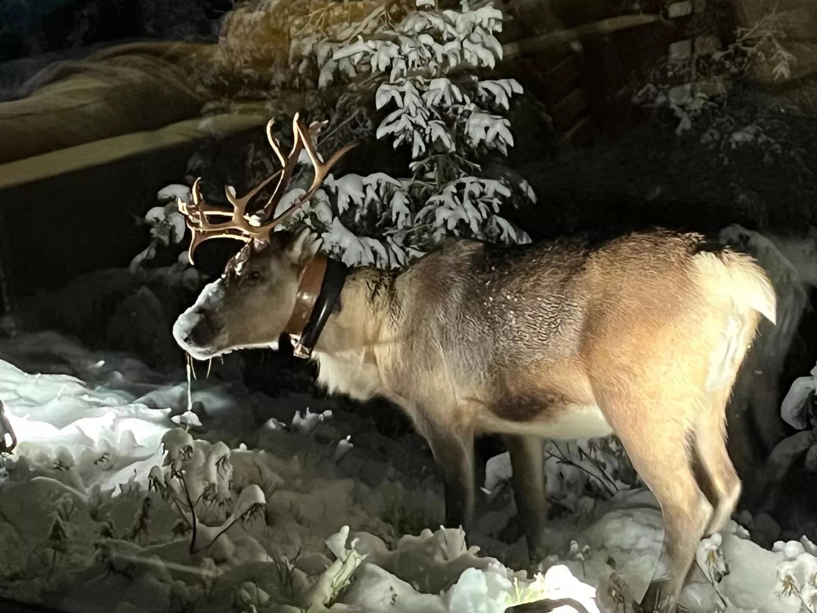 Villa lumimarja-Binnen