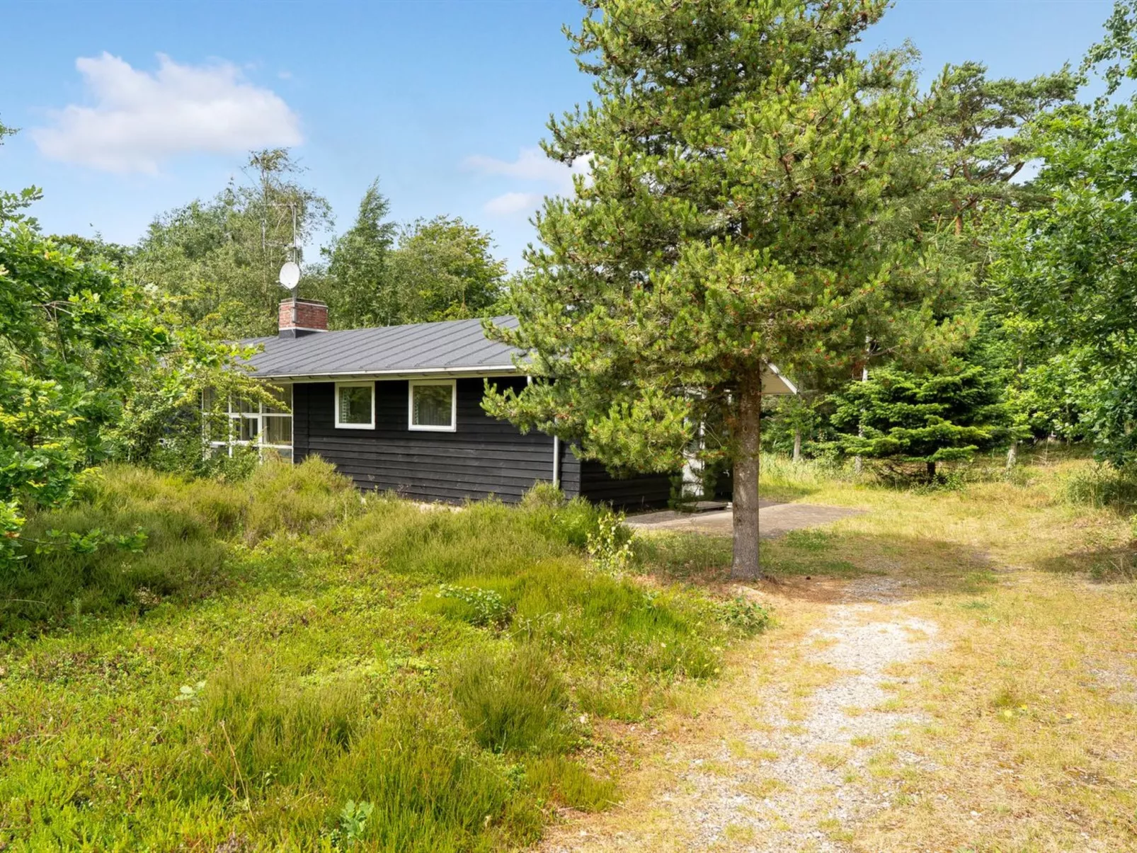 "Ivar" -  from the sea-Buiten