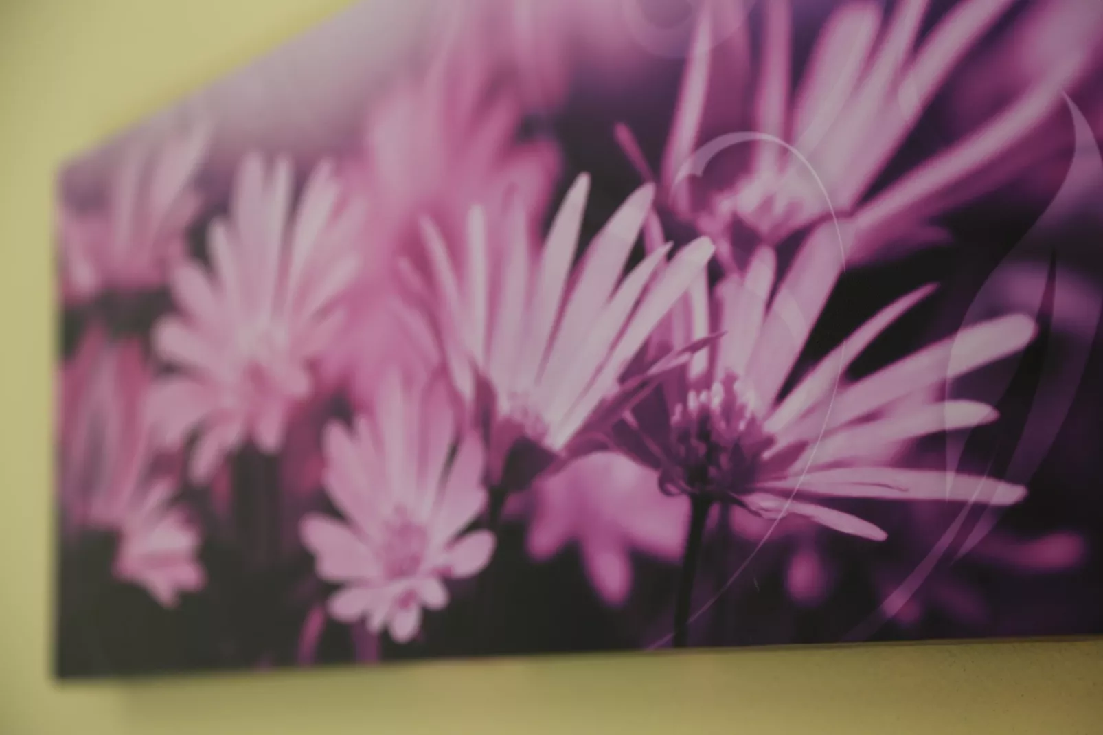 Ferienwohnung Freital - Dresden-Sfeer