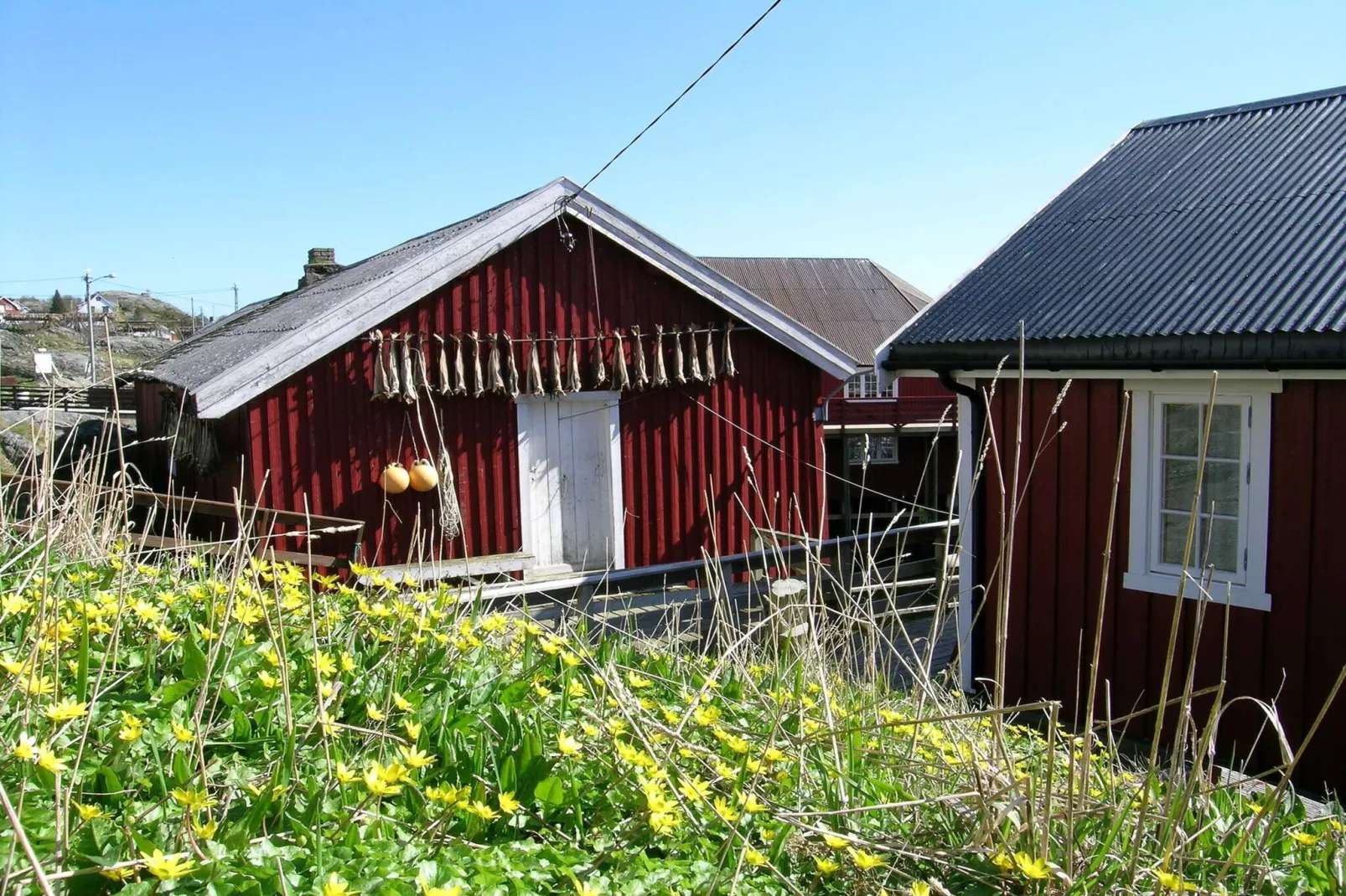 8 Personen vakantie huis in Mølnarodden-Niet-getagd