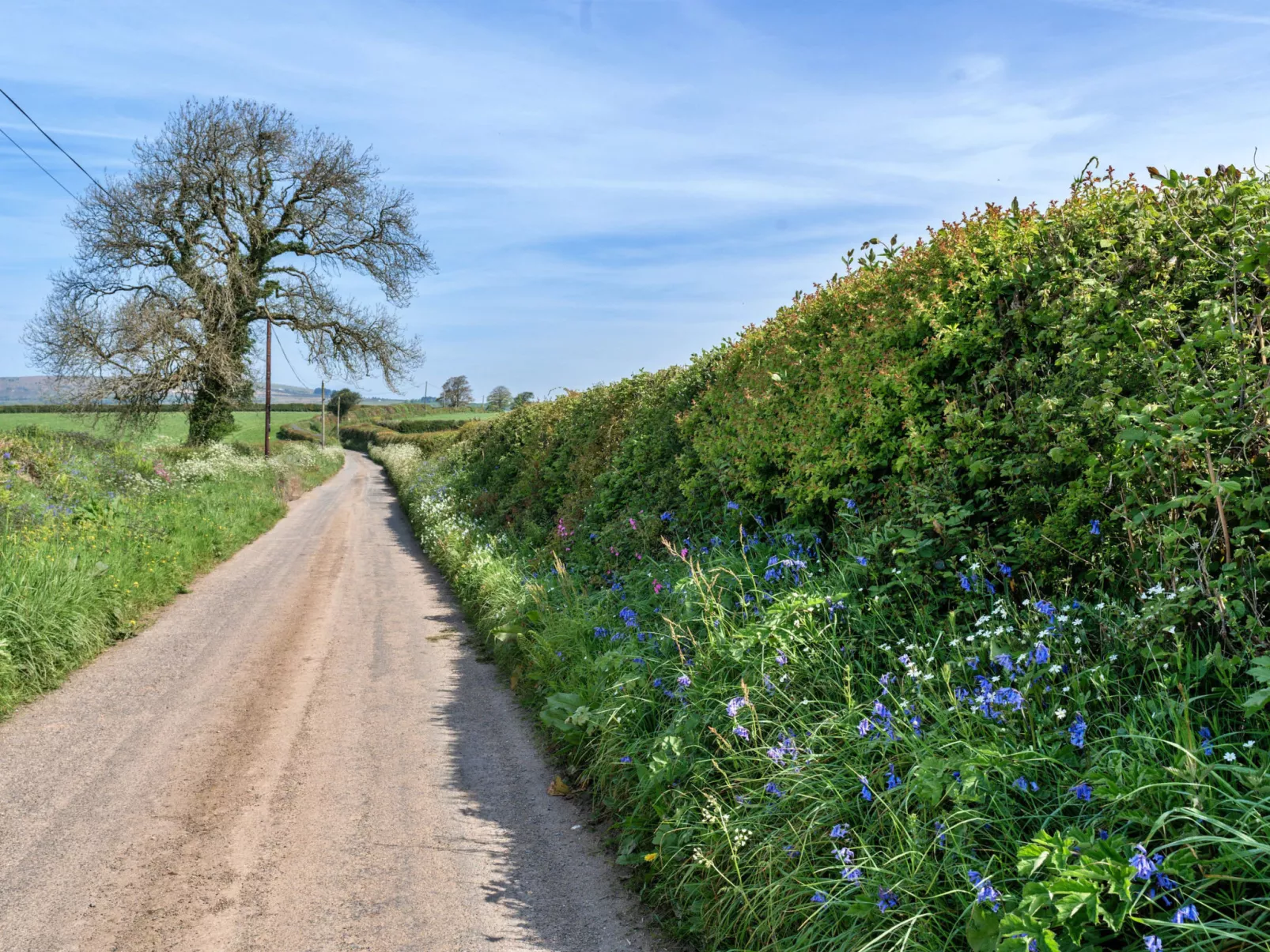 Cutkieve Farm Cottage-Buiten