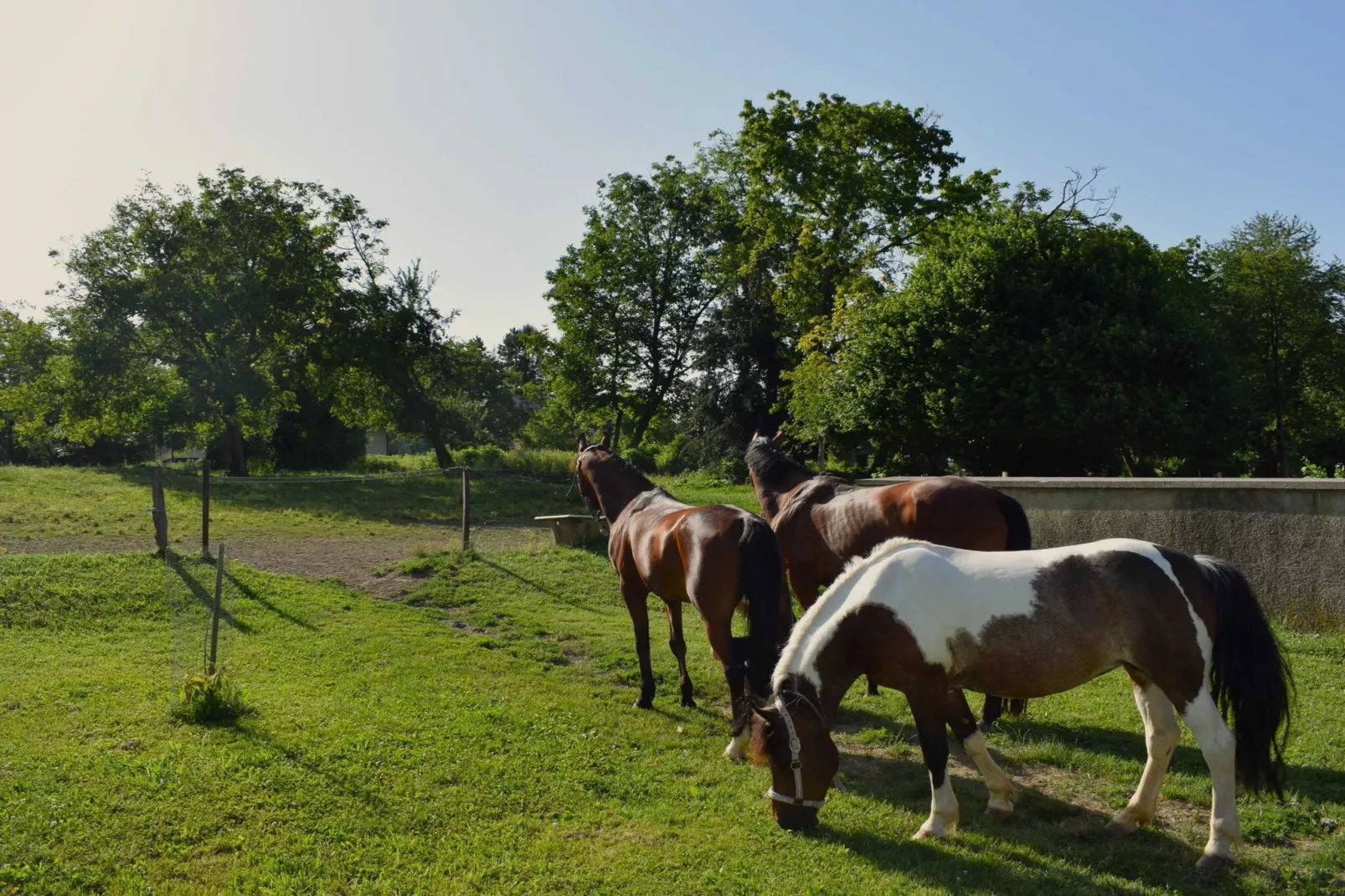 Zevnik Quiet Retreat with Stunning Views and Equestrian Activities - Family Room with Private Bathroom 8-Buitenlucht
