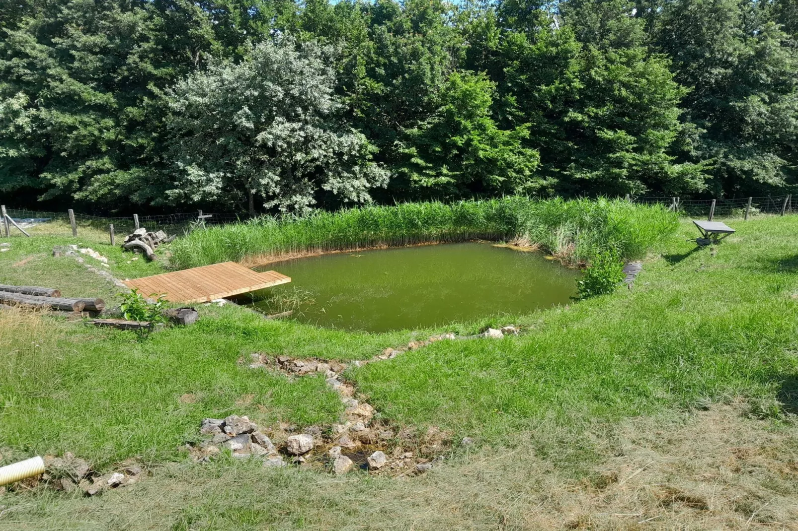 Hidden Authentic Haven Apartments - One Bedroom Apartment with Terrace-Buitenlucht