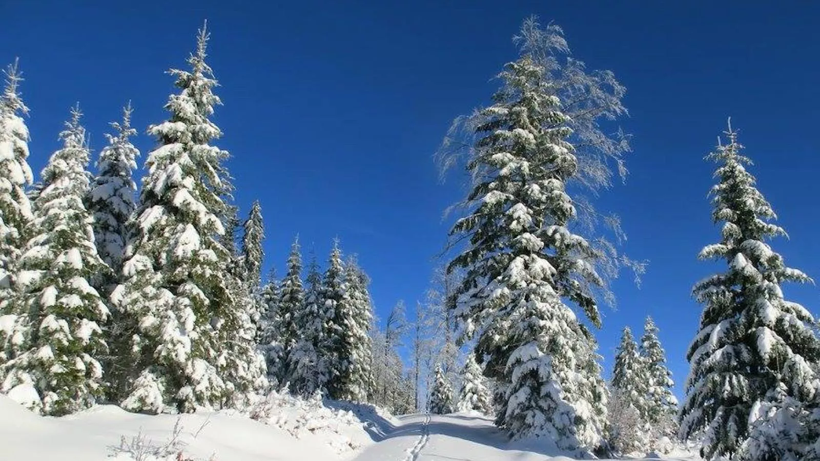 Bayerwald-Gebied winter 5km