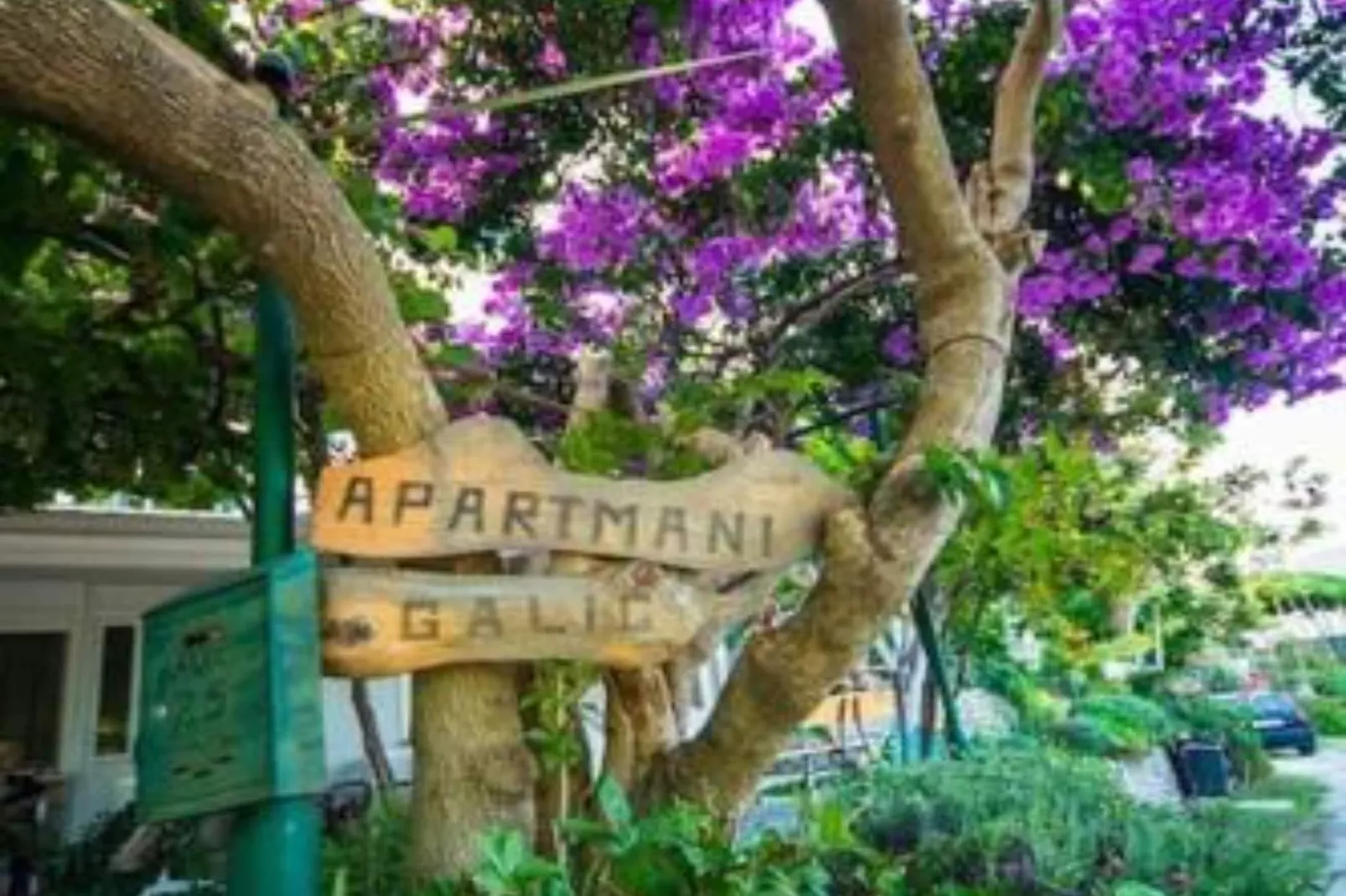 One-Bedroom Apartment With Lake View-Buitenlucht