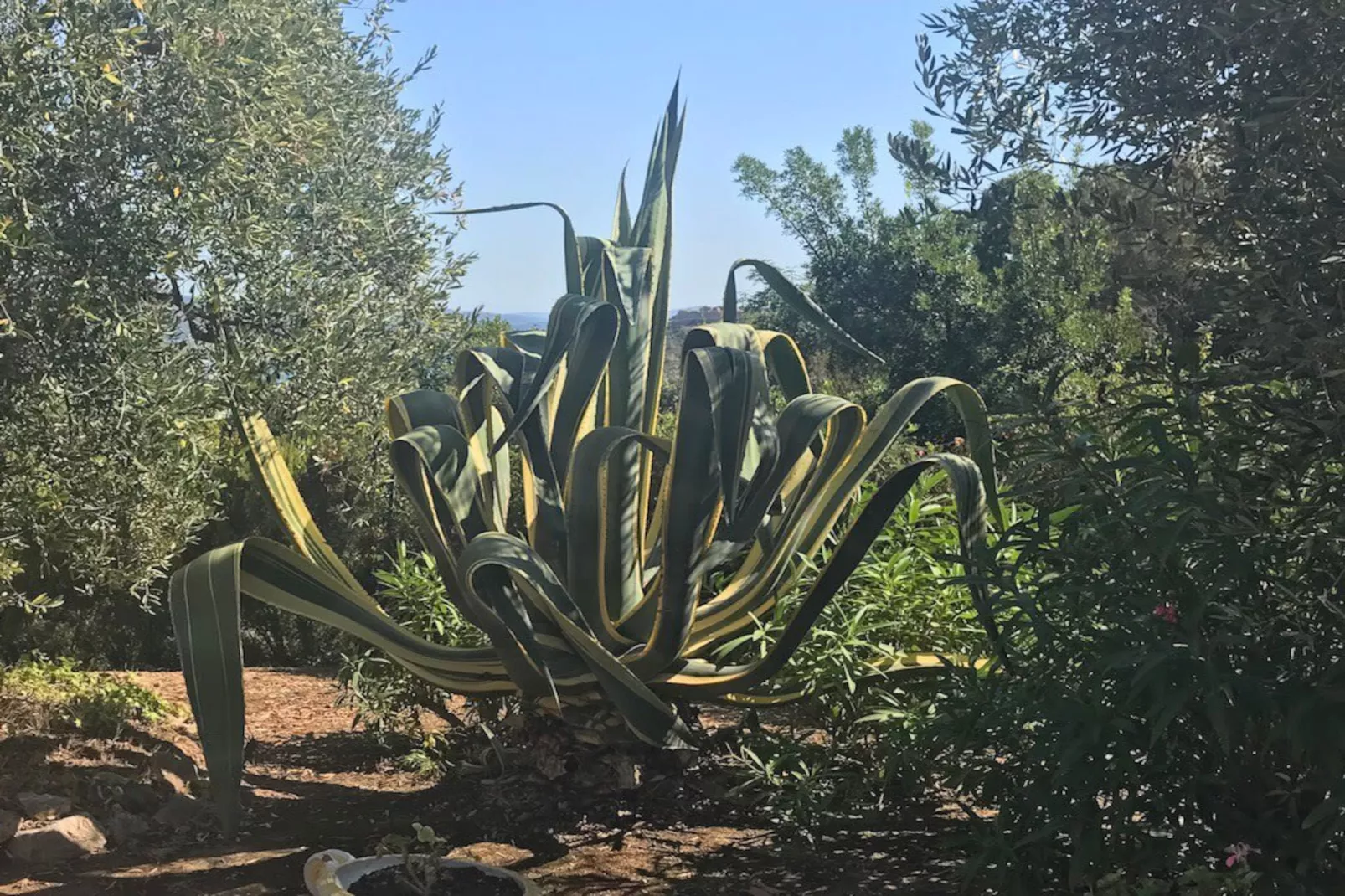 Villa della Fonte-Tuinen zomer