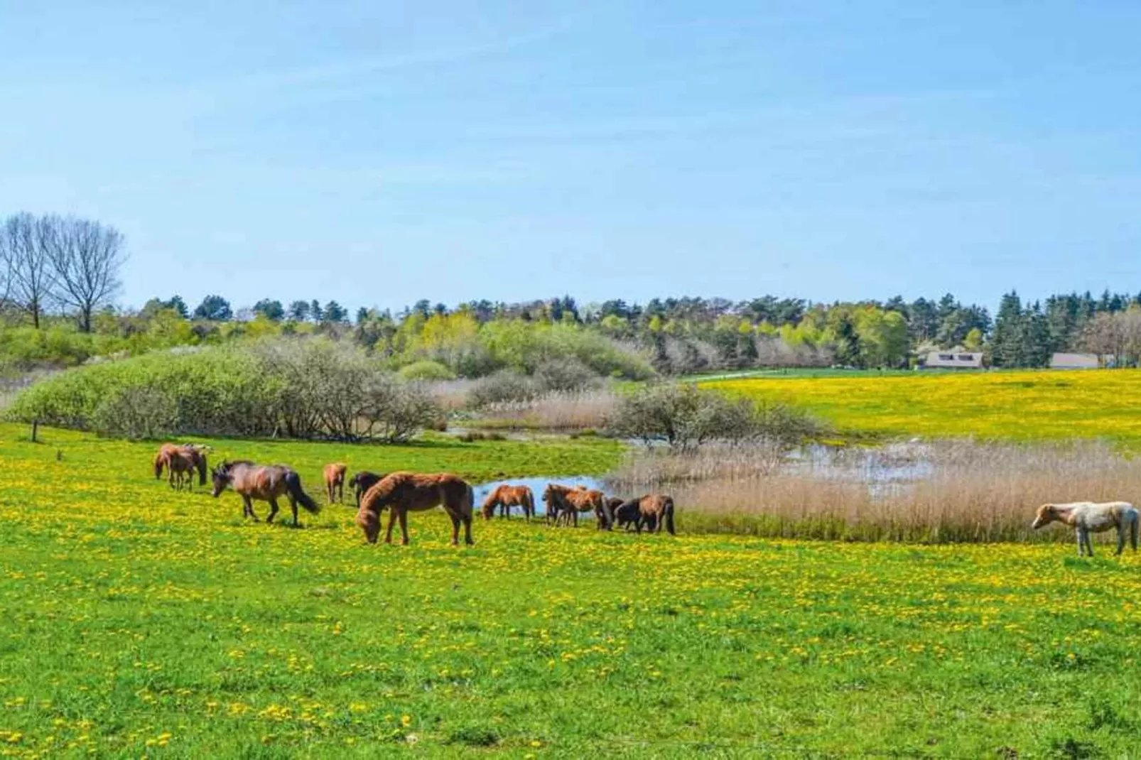 5 sterren vakantie huis in Nykøbing Sj