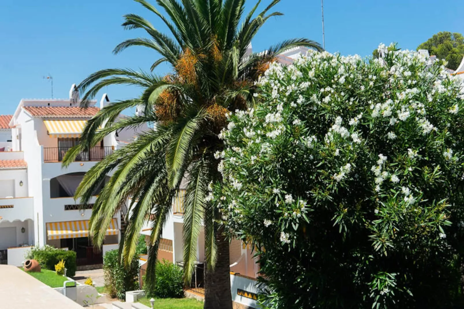 Appartements à Roses-Niet-getagd