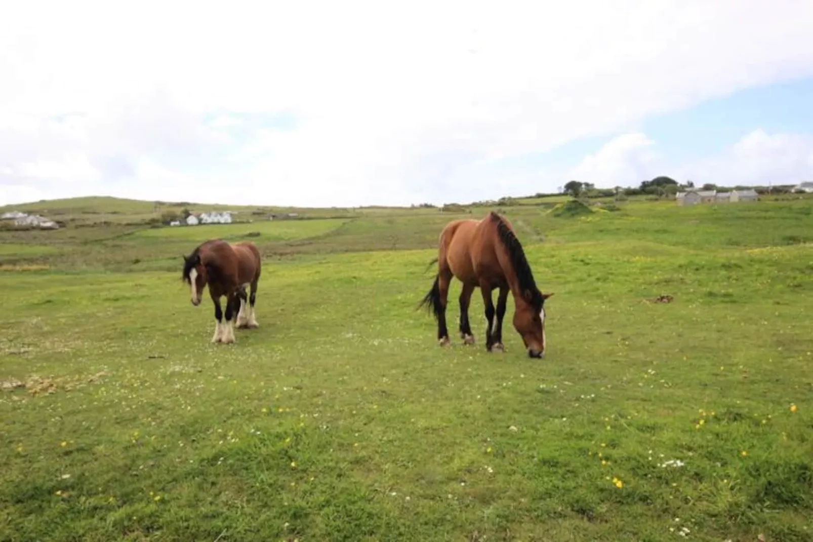 Maison à Cleggan Galway-Niet-getagd