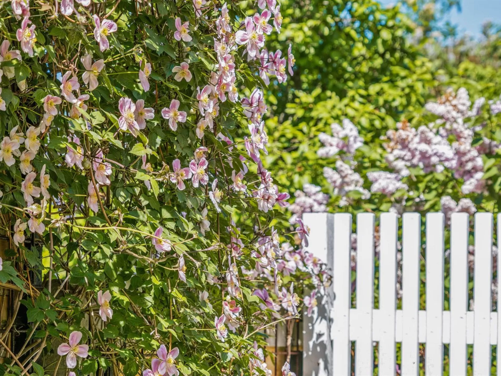 "Sölve" - 900m from the sea-Buiten