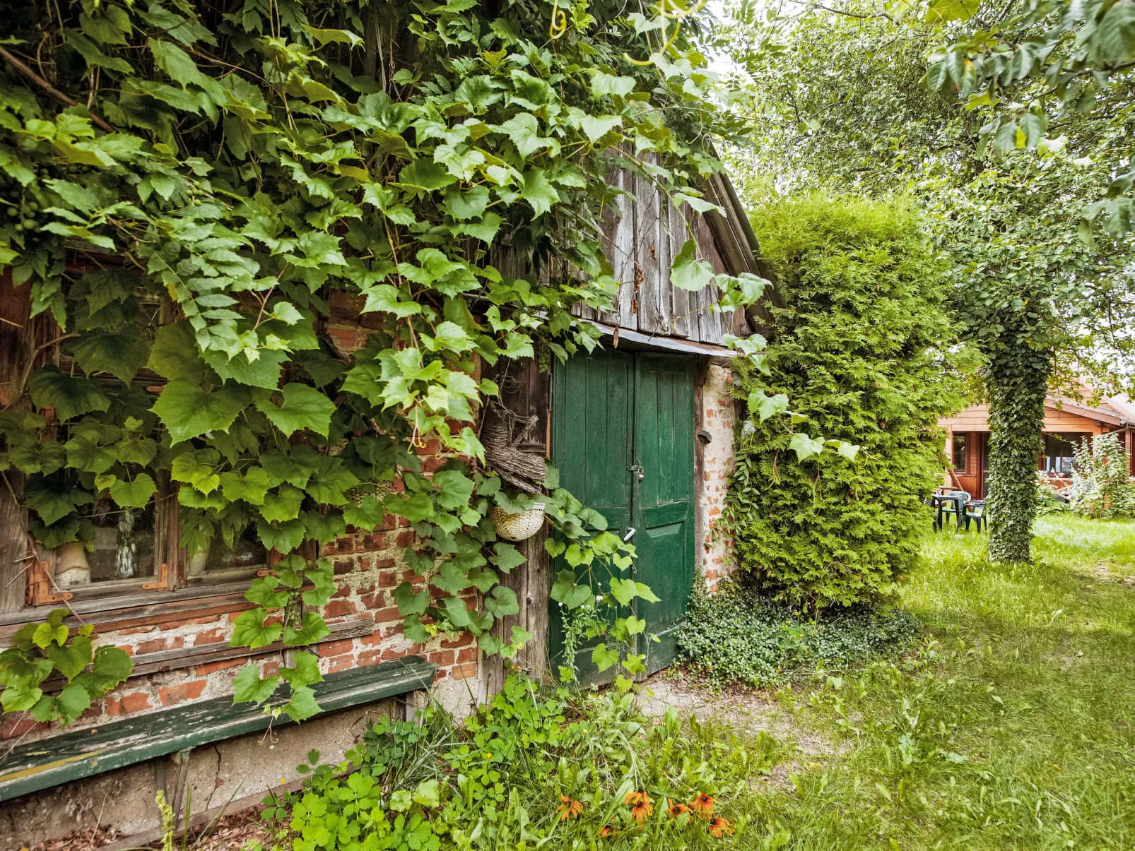 U Prababci Olgi-Buiten