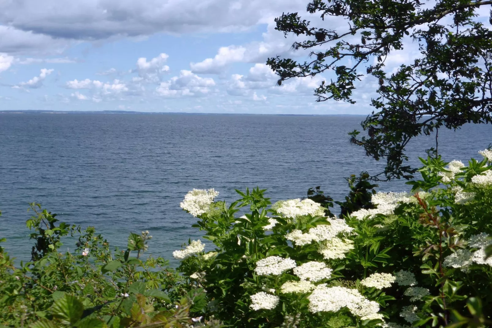 Vakantiehuis nabij het strand van Loddenhoj-Waterzicht