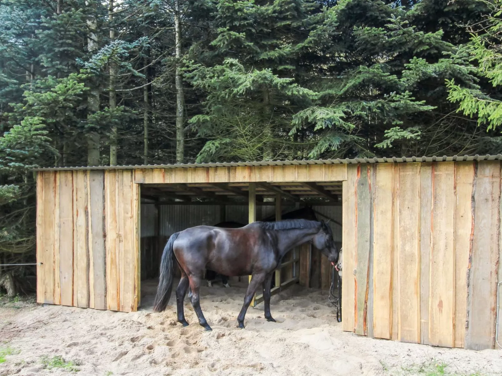 "Thana" - 8km from the sea-Buiten