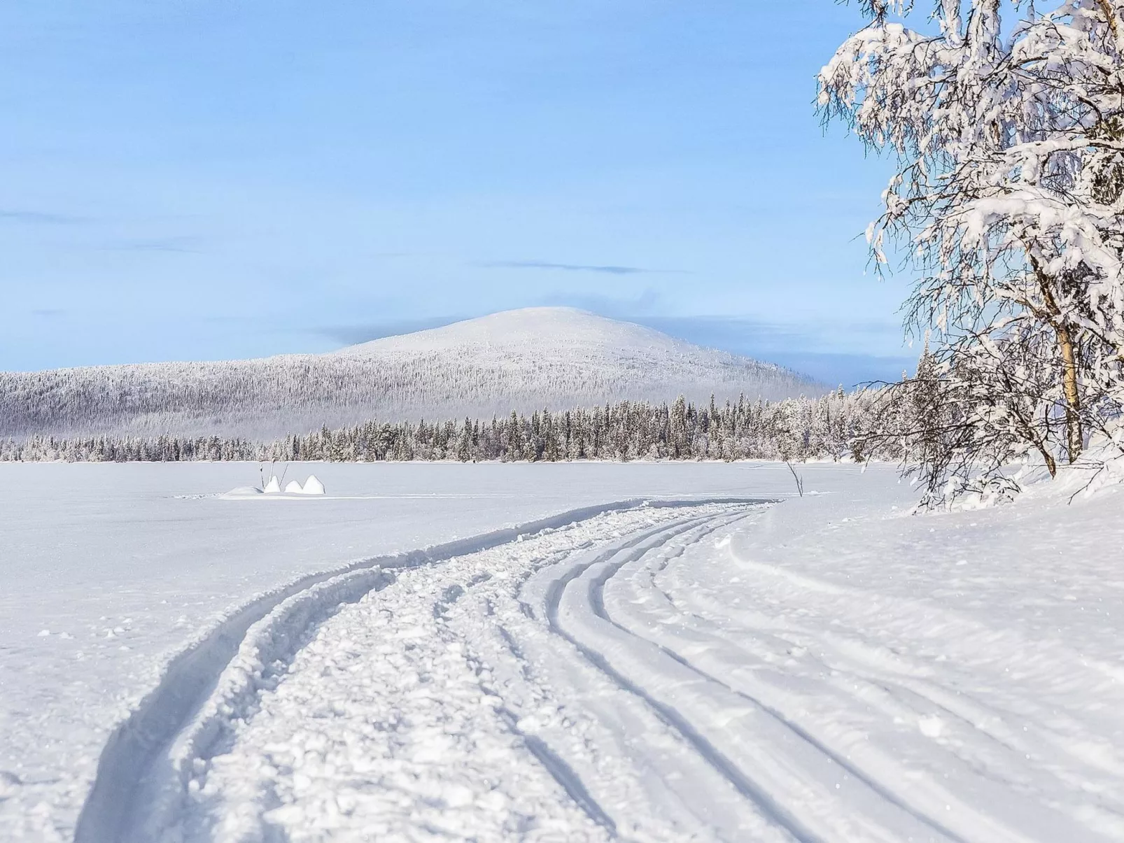 Lappi dream house-Binnen