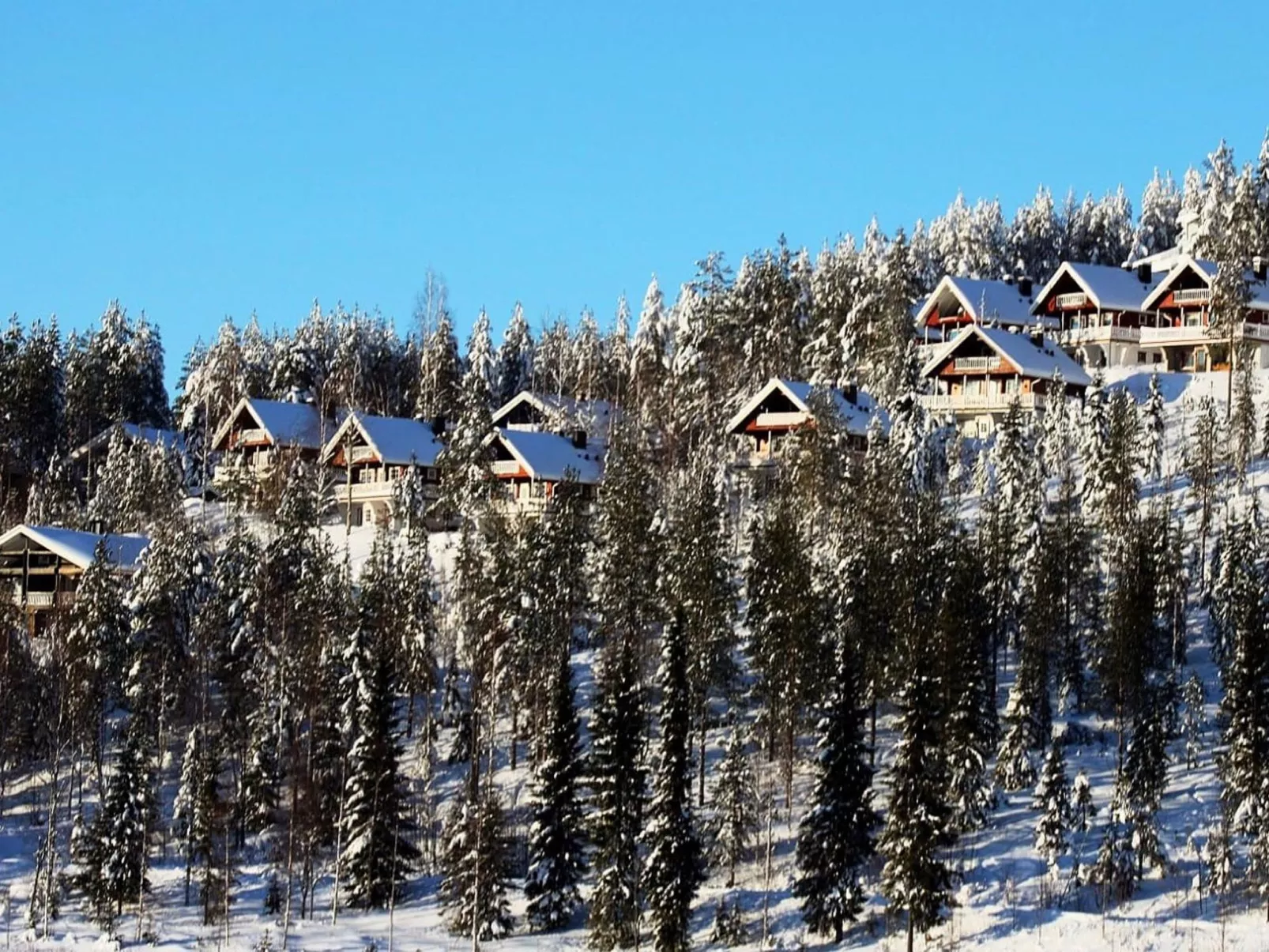 Hyrynpirtti mökki-Binnen