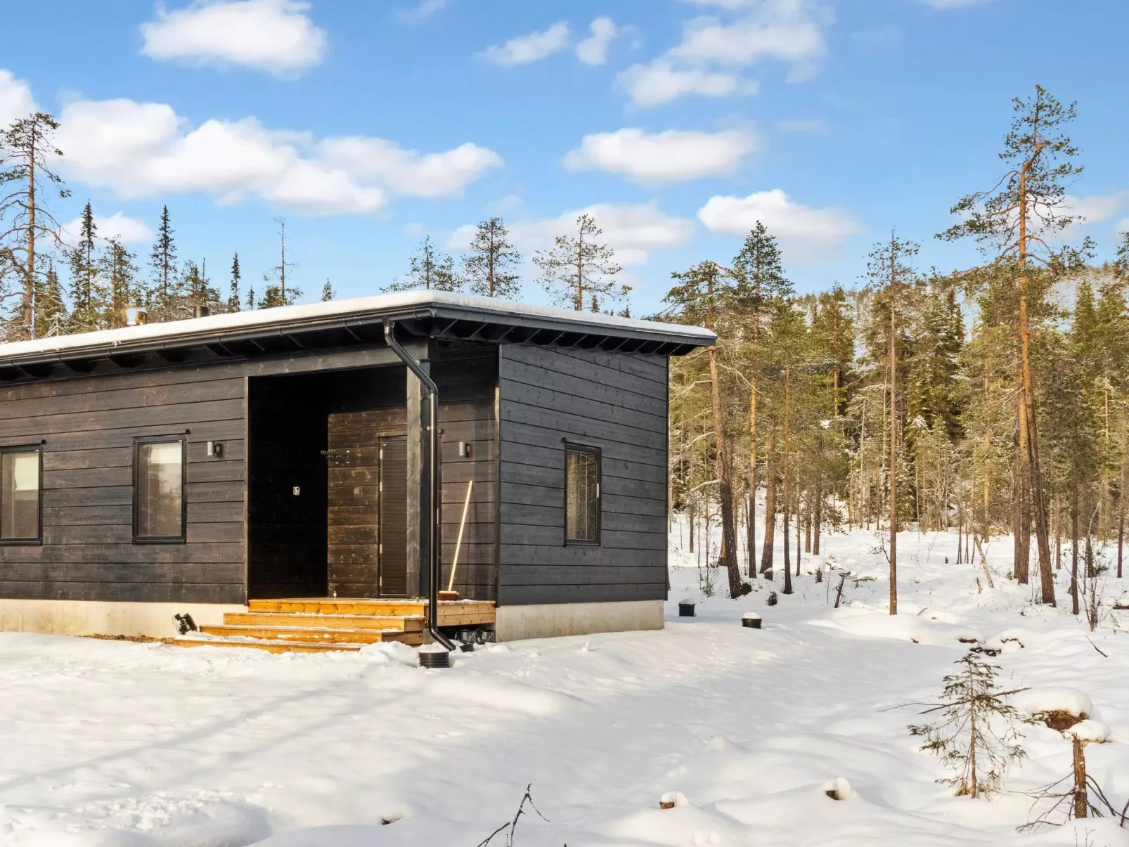 Sallan kuukkeli-Binnen