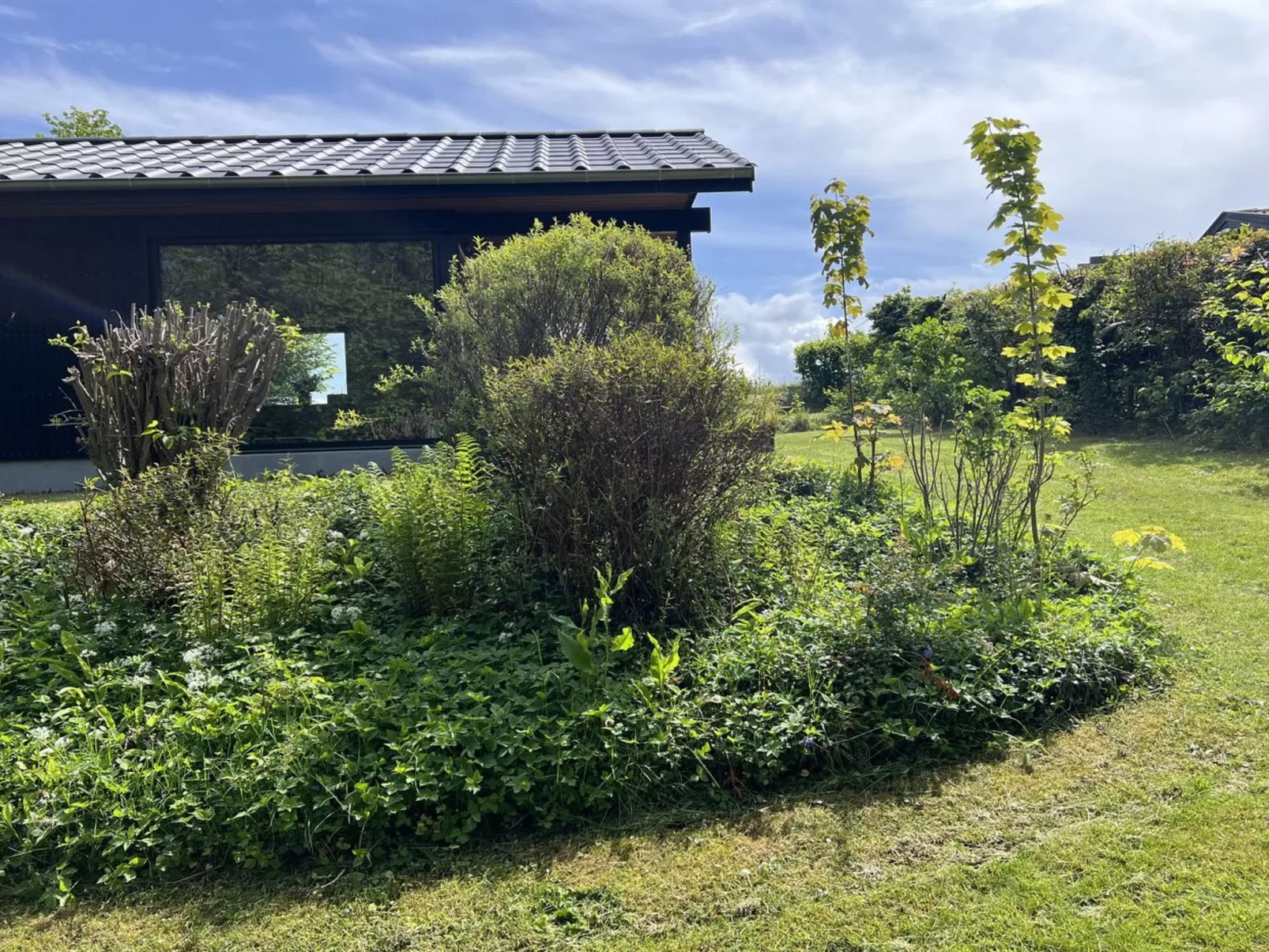 "Radica" - 400m from the sea-Buiten