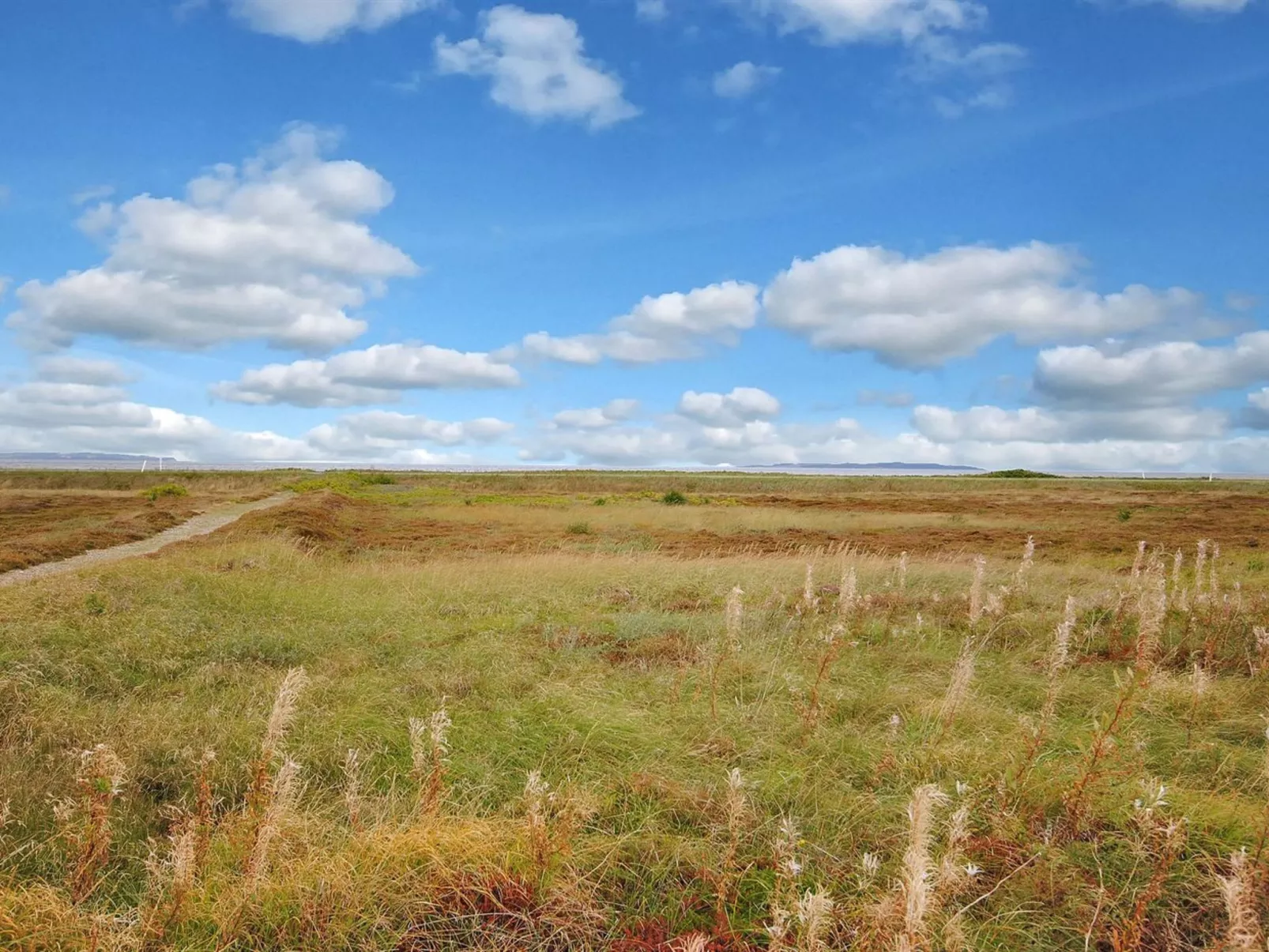 "Arisa" - 100m to the fjord-Buiten