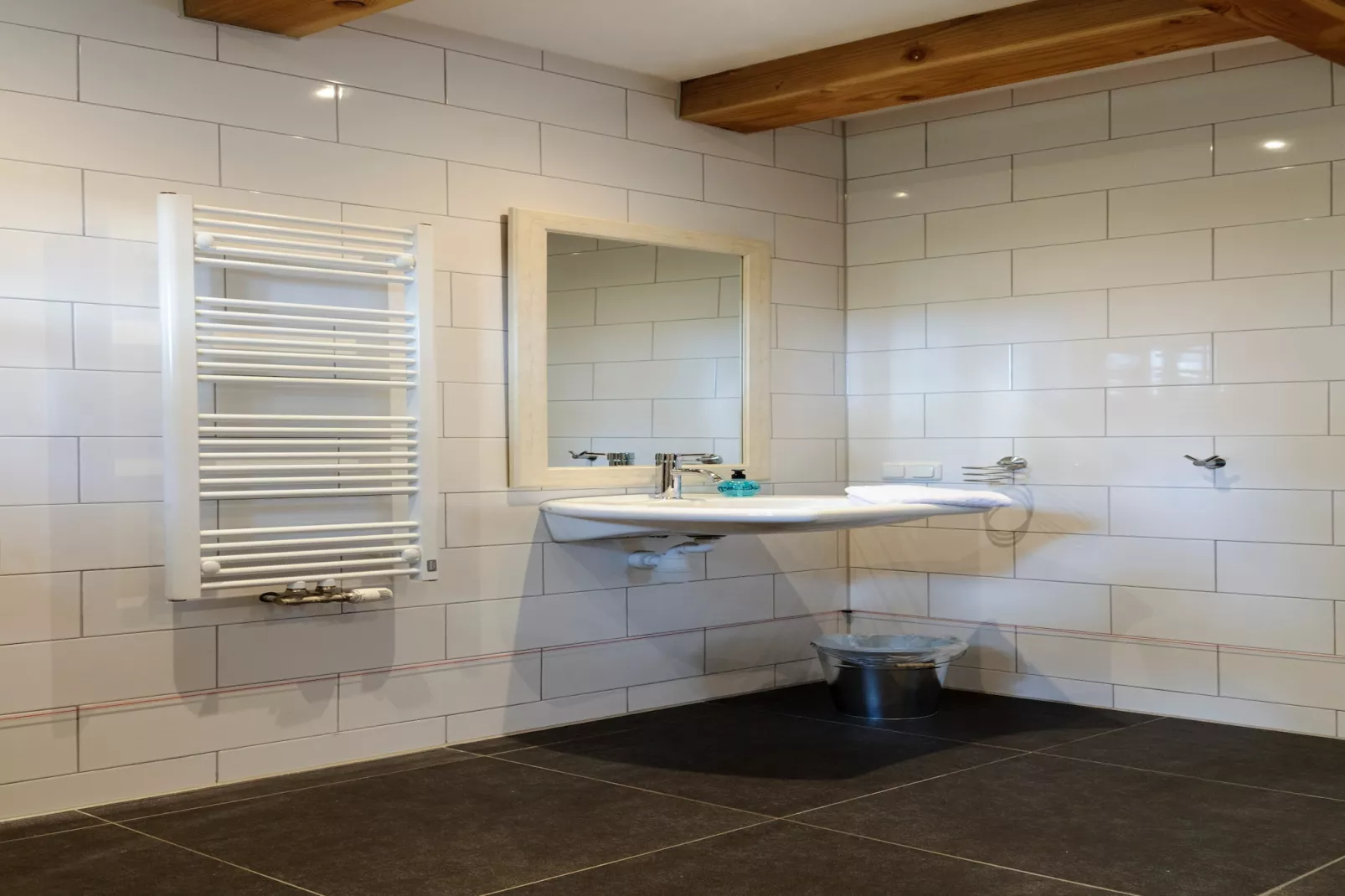 Groepsaccomodatie - Balkenhoeve - Badkamer