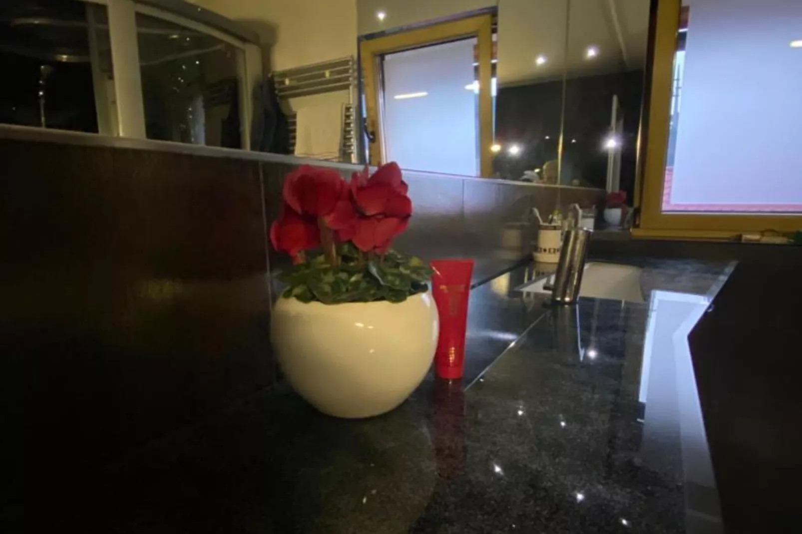 Villa Sarajevo Hills - Five Bedroom Villa with Terrace and Garden-Binnen